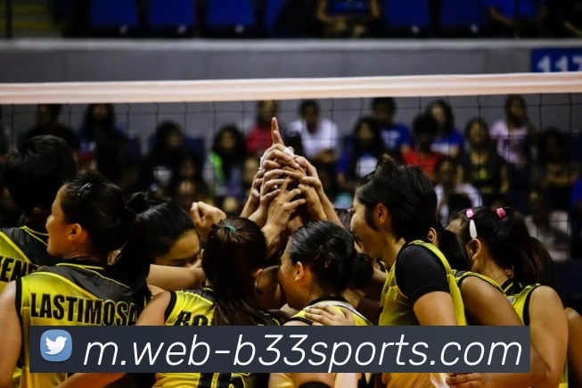 球赛投注平台生态图